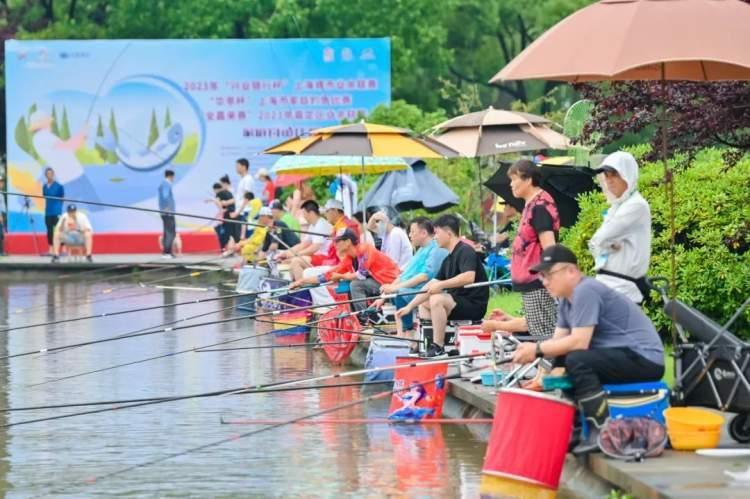 最新钓术分享，掌握现代钓鱼技巧，体验垂钓乐趣的秘籍