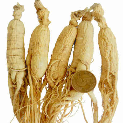 人参价格行情深度探讨与分析