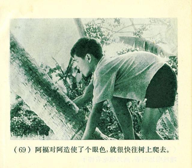 越南电影阿福，小巷深处的电影情怀与独特风味探索