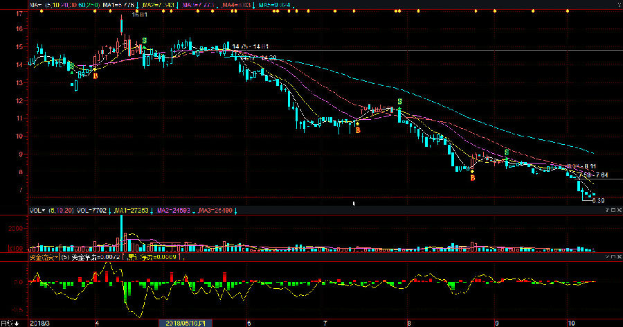 东股票与心灵之旅，探索自然美景的股市冒险之旅