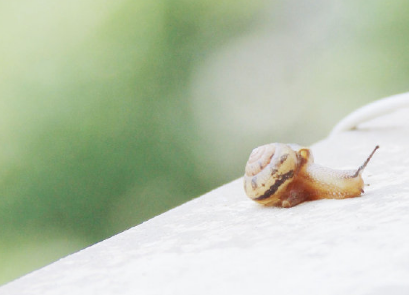 2017版个性签名幽默精选,笑对人生,学无止境