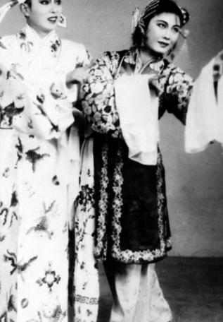 电影区，多维视角下的文化现象探究