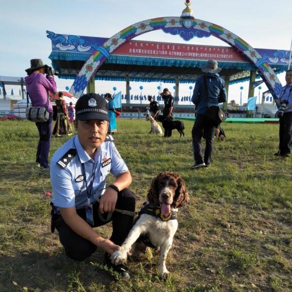 军犬题材电视剧盘点与小巷特色小店探秘